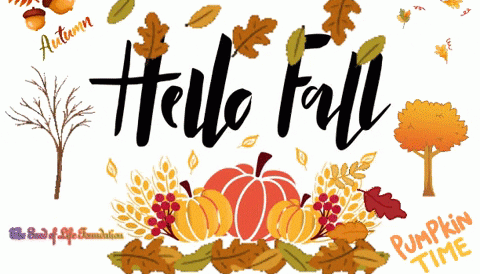 hello-fall